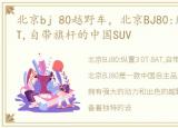 北京bj 80越野车，北京BJ80:纵置3.0T 8AT,自带旗杆的中国SUV