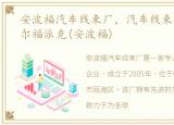 安波福汽车线束厂，汽车线束公司介绍德尔福派克(安波福)