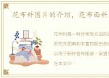 花布料图片的介绍，花布面料厂家盘点