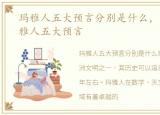 玛雅人五大预言分别是什么，【揭秘】玛雅人五大预言