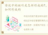 传说中的斑竹是怎样形成的?，请问斑竹是如何形成的