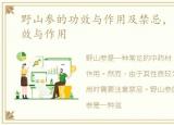 野山参的功效与作用及禁忌，野山参的功效与作用