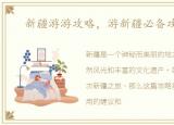 新疆游游攻略，游新疆必备攻略之一