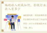 编剧收入到底如何，影视行业大揭秘:编剧收入有多少