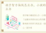 孩子智力偏低怎么办，小孩的智力偏低怎么办
