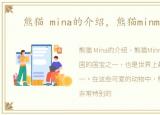 熊猫 mina的介绍，熊猫minmi(外观)