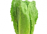尽早发现食源性疾病