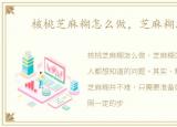 核桃芝麻糊怎么做，芝麻糊怎么做