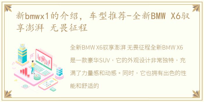 新bmwx1的介绍，车型推荐-全新BMW X6驭享澎湃 无畏征程