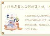 月经周期长怎么调理最有效，月经周期长