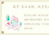 虱子 怎么去除，虱子怎么除