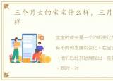 三个月大的宝宝什么样，三月的宝宝什么样