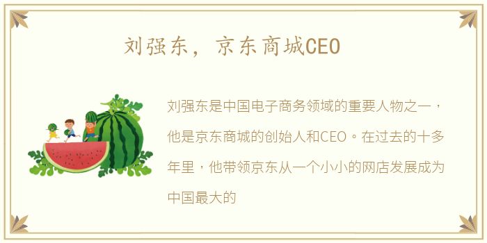 刘强东，京东商城CEO