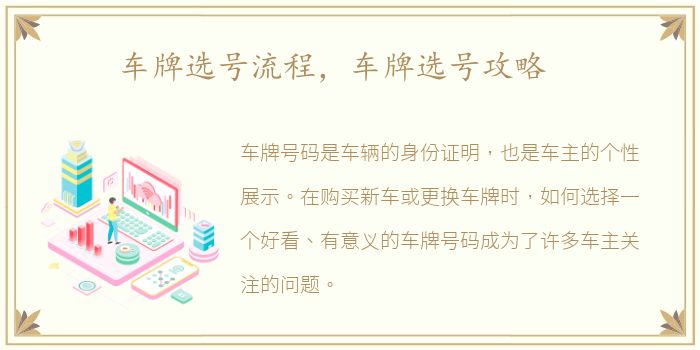 车牌选号流程，车牌选号攻略