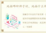 地插哪种牌子好，地插什么牌子的好