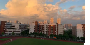 波卡特洛和校园现已推出鸟类滑板车