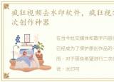 疯狂视频去水印软件，疯狂视频去水印:二次创作神器