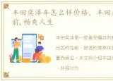 丰田奕泽车怎么样价格，丰田奕泽,奕车当前,畅爽人生