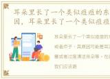 耳朵里长了一个类似痘痘的东西是什么原因，耳朵里长了一个类似痘痘的东西是什么