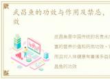 武昌鱼的功效与作用及禁忌，武昌鱼的功效