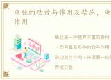 鱼肚的功效与作用及禁忌，鱼肚的功效与作用