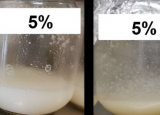 热处理如何影响由大米和椰子水制成的牛奶替代品