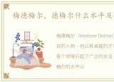 梅德梅尔，德梅尔什么水平及个人信息
