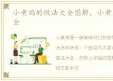 小黄鸡的做法大全图解，小黄鸡的做法大全