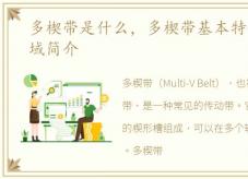 多楔带是什么，多楔带基本特性和应用领域简介
