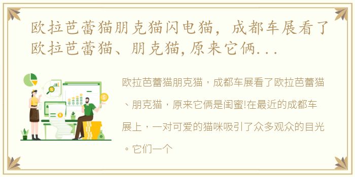 欧拉芭蕾猫朋克猫闪电猫，成都车展看了欧拉芭蕾猫、朋克猫,原来它俩是闺蜜!