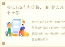 智己ls6汽车价格，IM 智己汽车 车内外两个世界