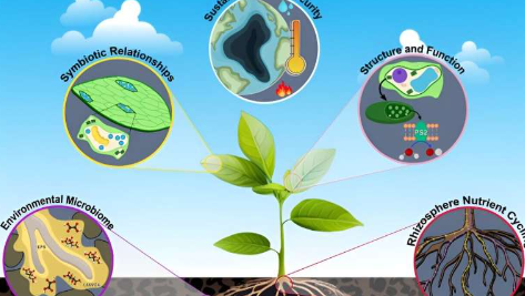 构建抗气候变化植物的分子配方