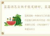 蓝莓酒怎么做才能发酵好，蓝莓酒怎么做