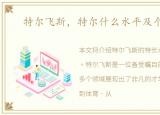 特尔飞斯，特尔什么水平及个人信息