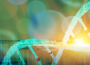BioSkryb 加入 NIST进一步了解基因组编辑的准确性