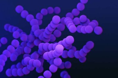 科学家发现帮助肺炎细菌对抗生素产生耐药性的进化途径