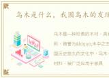 乌木是什么，我国乌木的发现与挖掘