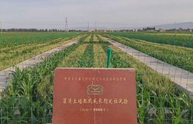 长期绿肥可增强核心微生物组驱动垂直土壤剖面的多种功能