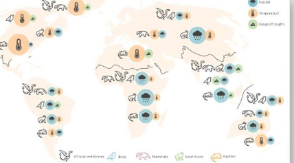 生物多样性研究试图回答为什么在热带地区发现了更多的动植物物种