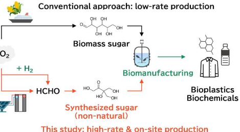 使用化学合成的非天然糖作为底物的微生物生物制造