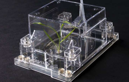 新的人工智能工具改进了根图像分割