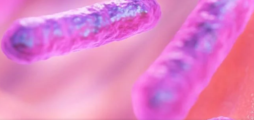 坚韧不拔的人表现出独特的大脑和肠道微生物组模式