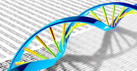 研究团队研究化学修饰以更深入地了解基因调控机制