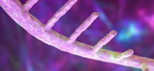 Wave临床试验首次证明RNA编辑在人类身上取得成功